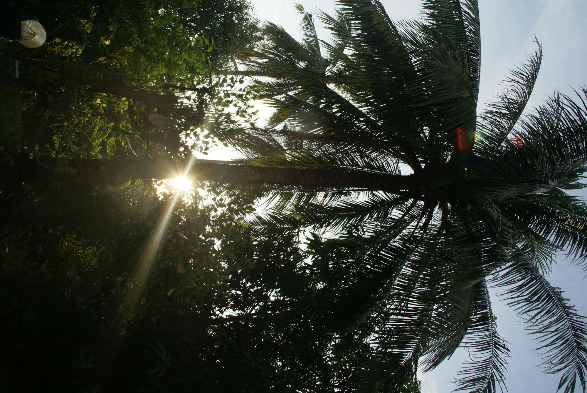 Paradise Eco Resort - Siem Reap Zewnętrze zdjęcie